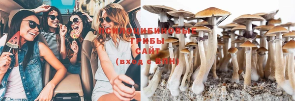 эйфоретик Горняк